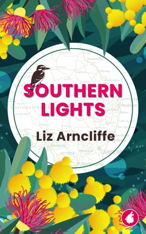 Book cover of Southern Lights by Liz Arncliffe